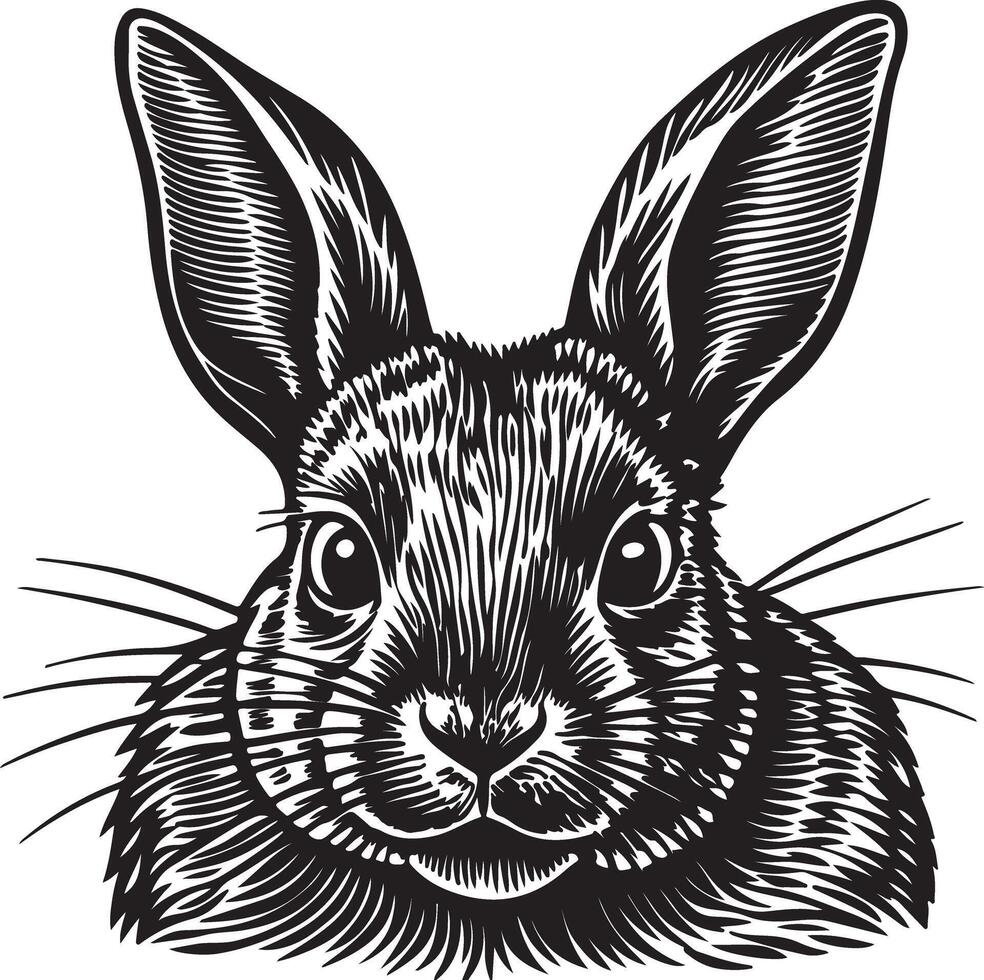 Black silhouettes of Rabbit isolated on a white background. vector