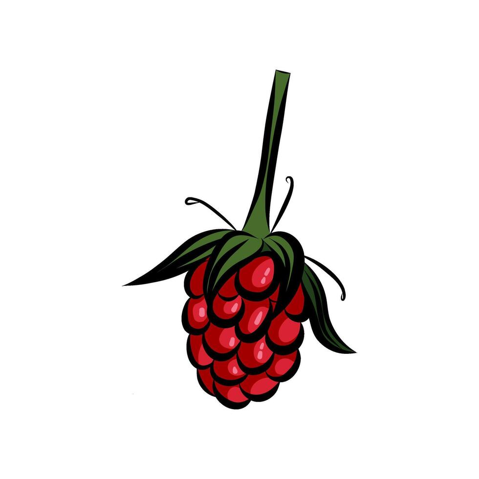 Raspberry, fresh garden red berry. Ripe sweet fruit icon. Natural organic summer food, vitamin nutrition. Flat graphic illustration on white background. vector