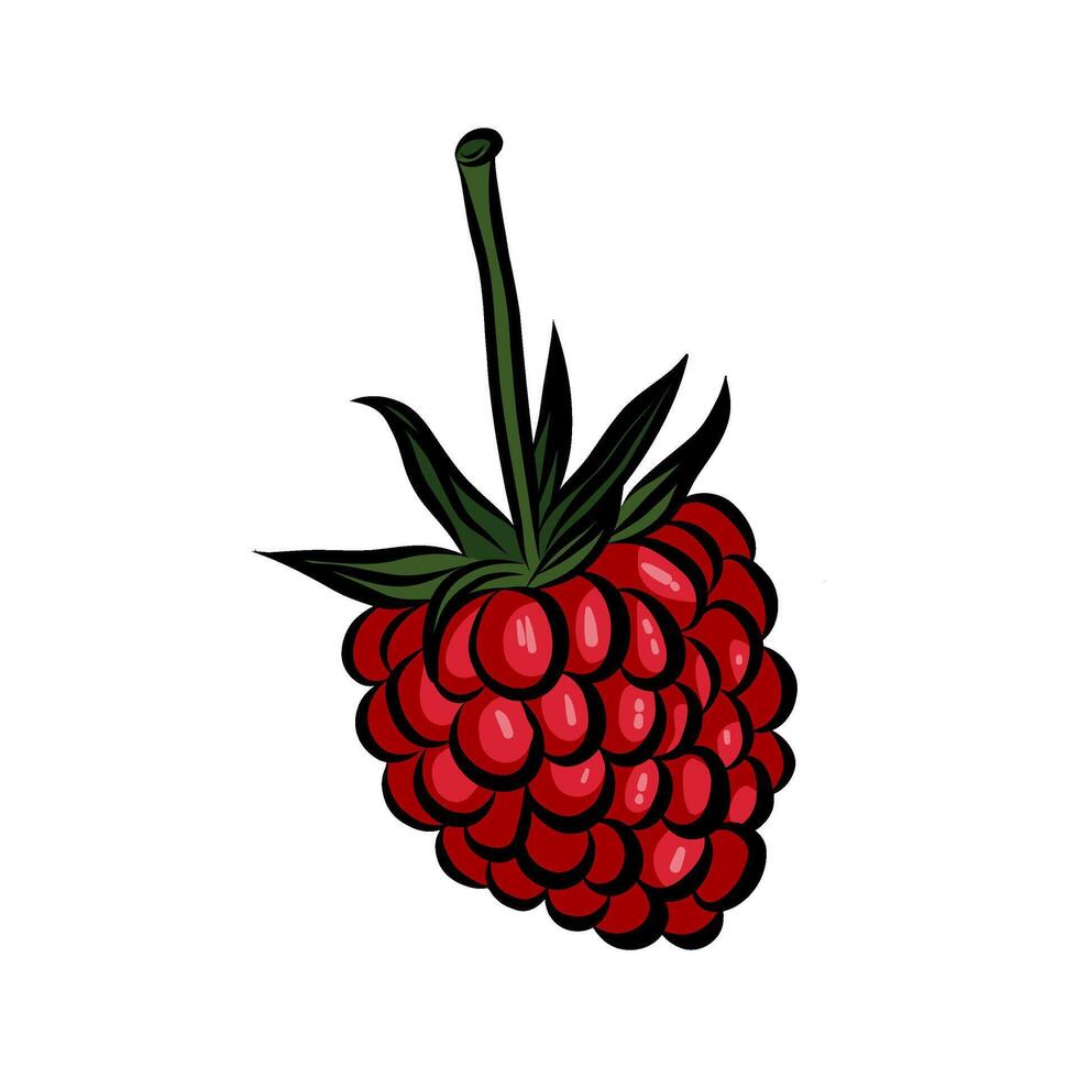 Raspberry, fresh garden red berry. Ripe sweet fruit icon. Natural organic summer food, vitamin nutrition. Flat graphic illustration on white background. vector
