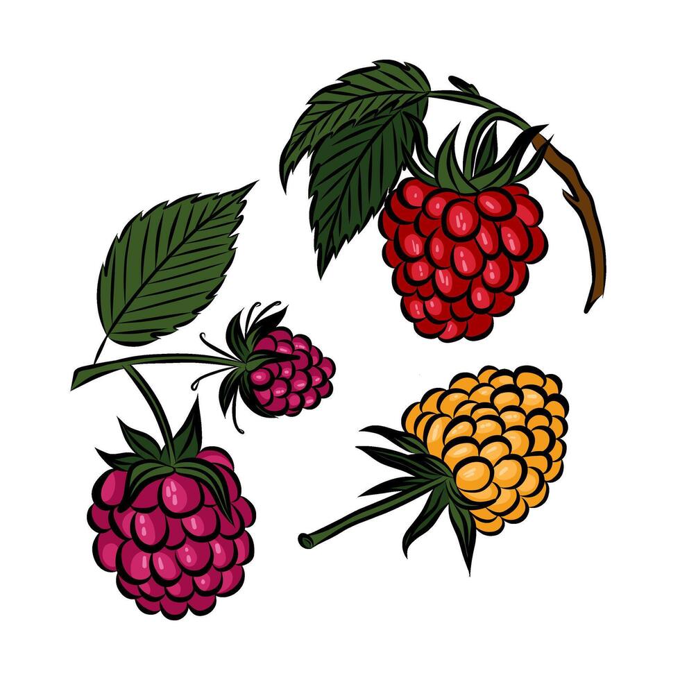 Raspberry, fresh garden red berry. Set of multi-colored icons of ripe sweet berries. Natural organic summer products, vitamin nutrition. Flat graphic illustration on white background. vector