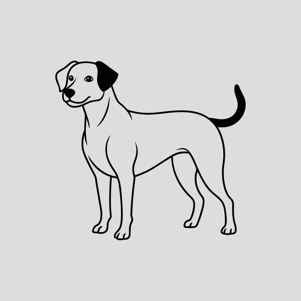 Pet Portrait in Line Drawing vector