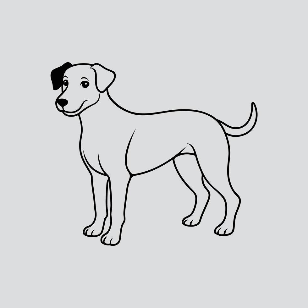 Pet in Line Drawing vector
