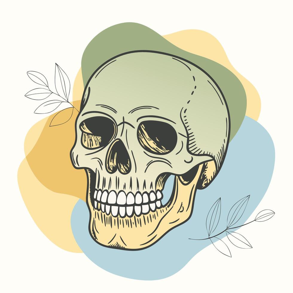 a drawing of a skull vector