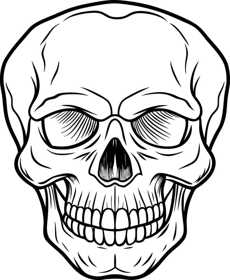a black and white drawing of a skull with a white background. vector