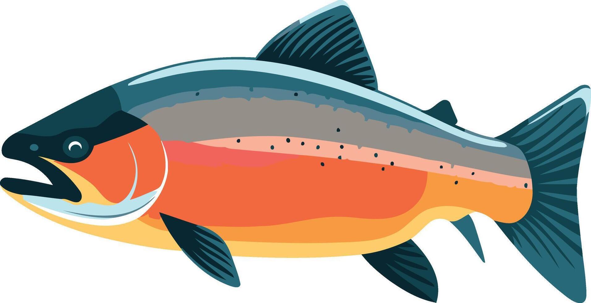 Colorful Illustration of a Trout Fish vector