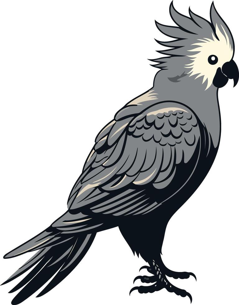 Black and White Cockatoo Illustration vector