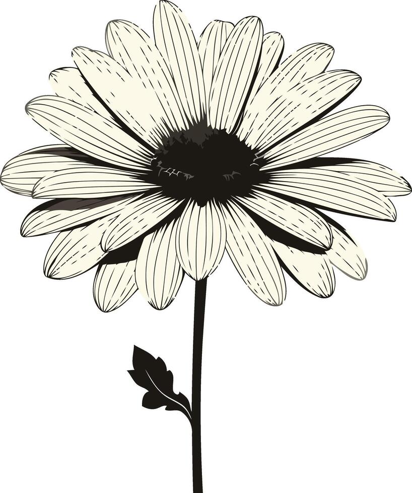Black and White Illustration of a Single Daisy vector