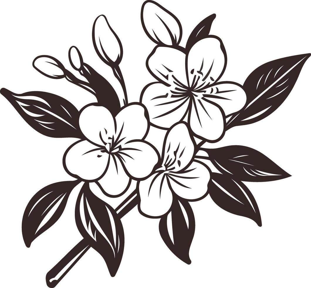 Elegant black and white illustration of delicate cherry blossom flowers vector