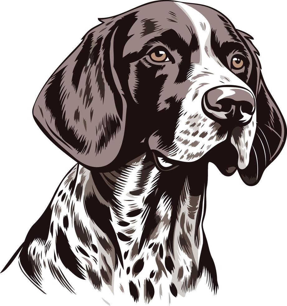 A detailed, hand drawn illustration of a german shorthaired pointer, a popular hunting dog breed vector