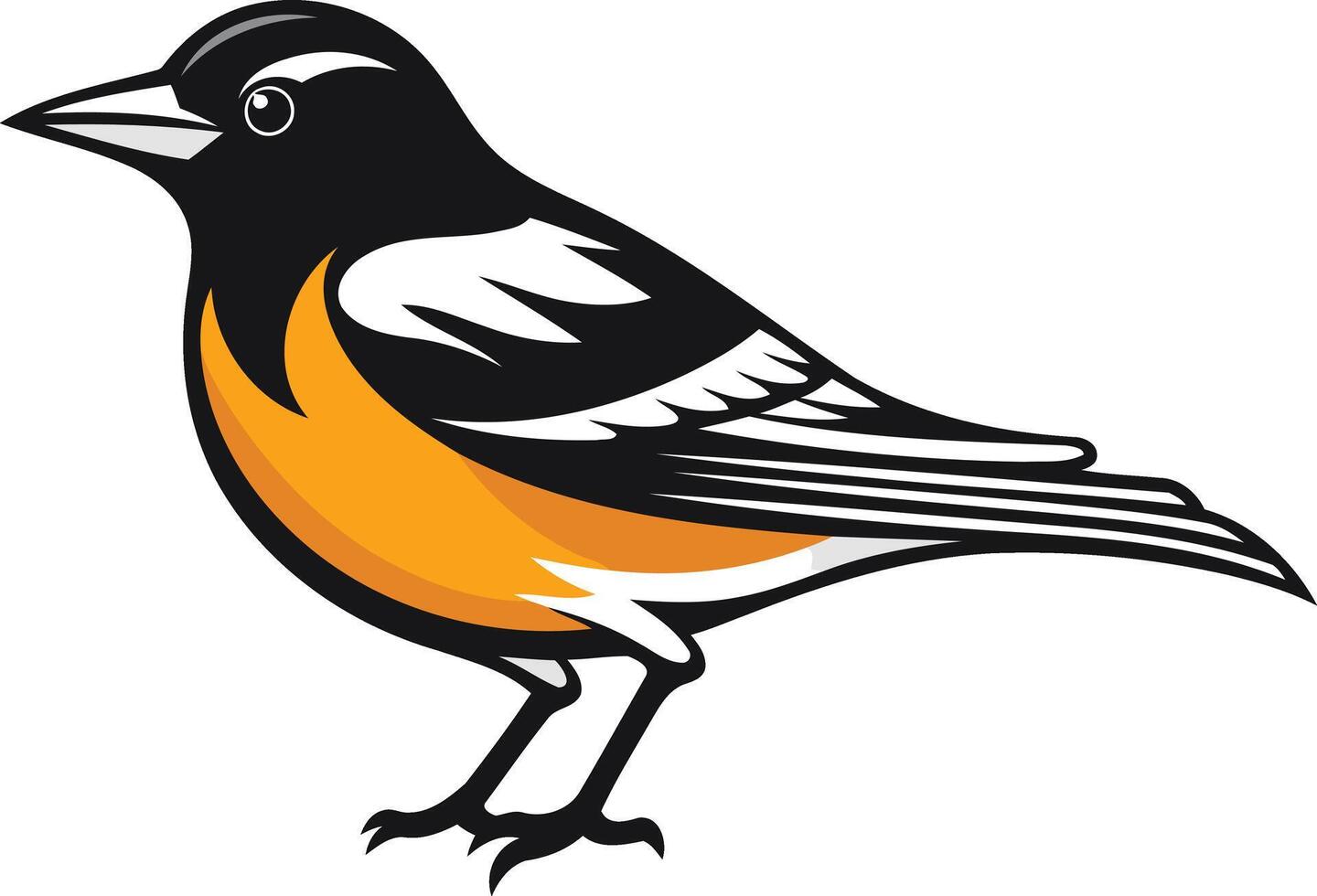 A bold, graphic illustration of a baltimore oriole, perfect for nature themed designs, birdwatching resources, or educational materials vector