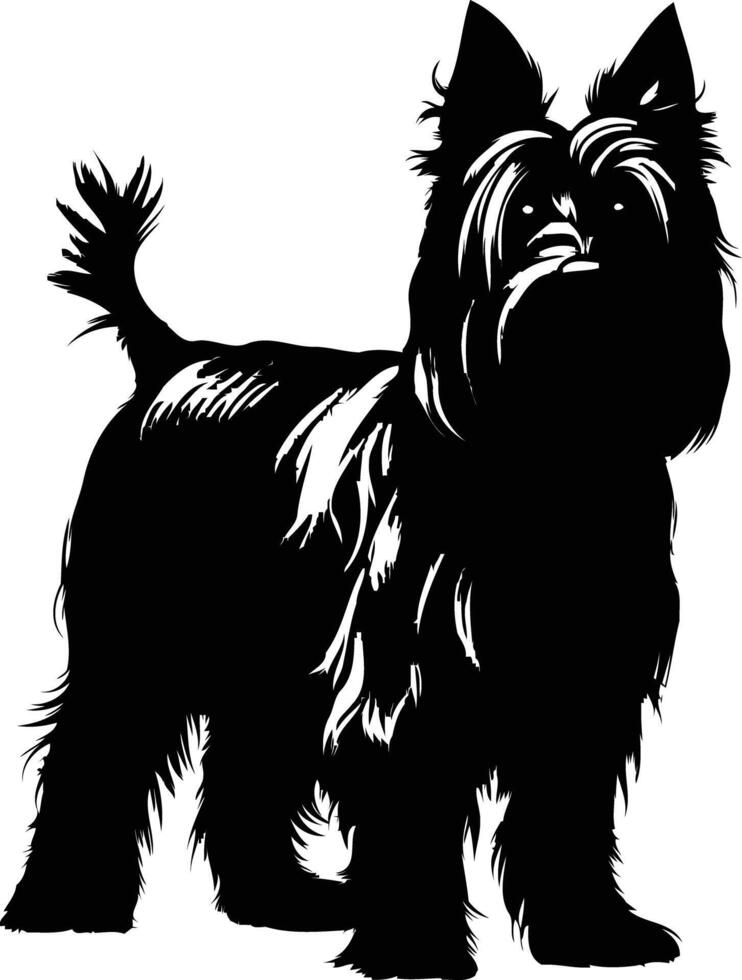 Black and white silhouette of a yorkshire terrier standing on a white background vector