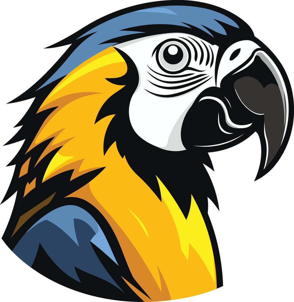 Blue and Gold Macaw Portrait vector