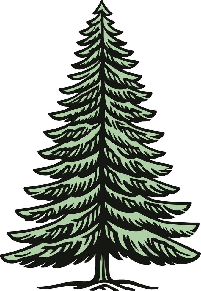 A Detailed Illustration of a Pine Tree vector