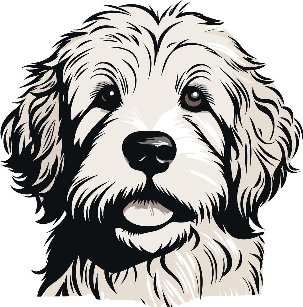 Portrait of a White Fluffy Dog vector
