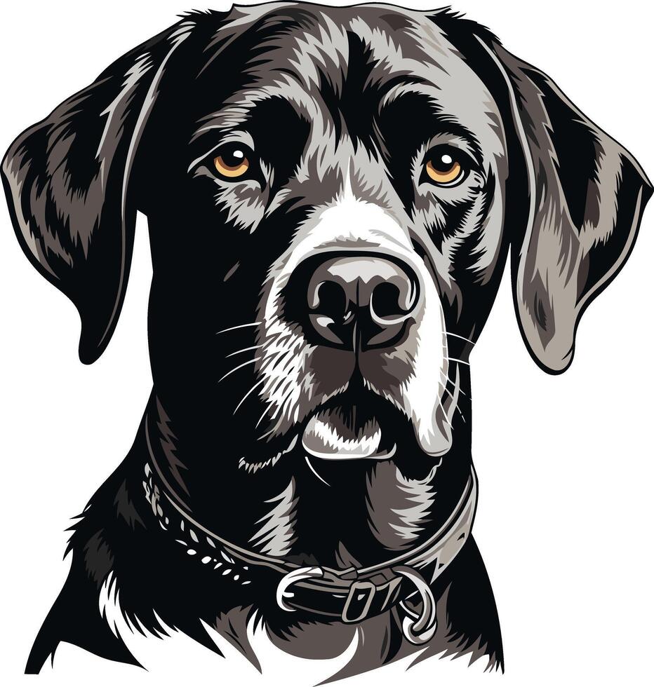 Portrait of a Black Labrador Retriever vector