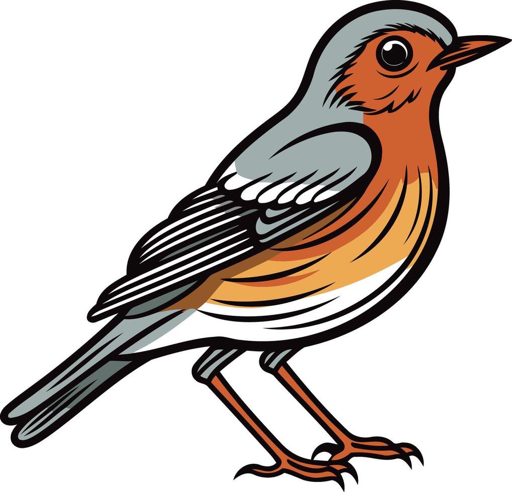 Cartoon Illustration of a Robin vector