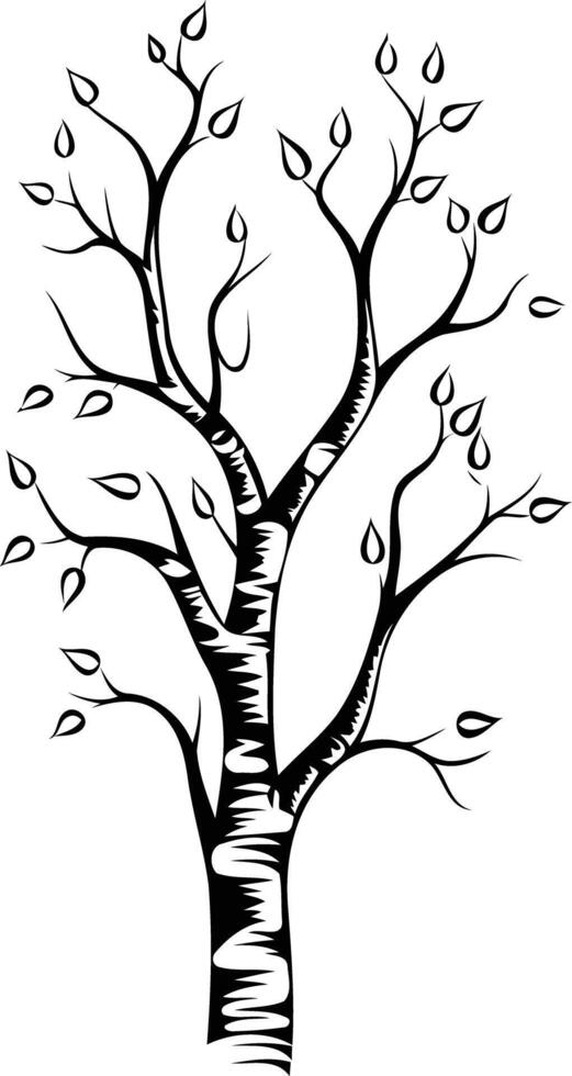 Simple, elegant black and white illustration of a stylized tree with leaves vector