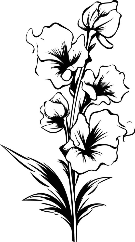 Elegant black and white illustration of a delicate flower with intricate details vector