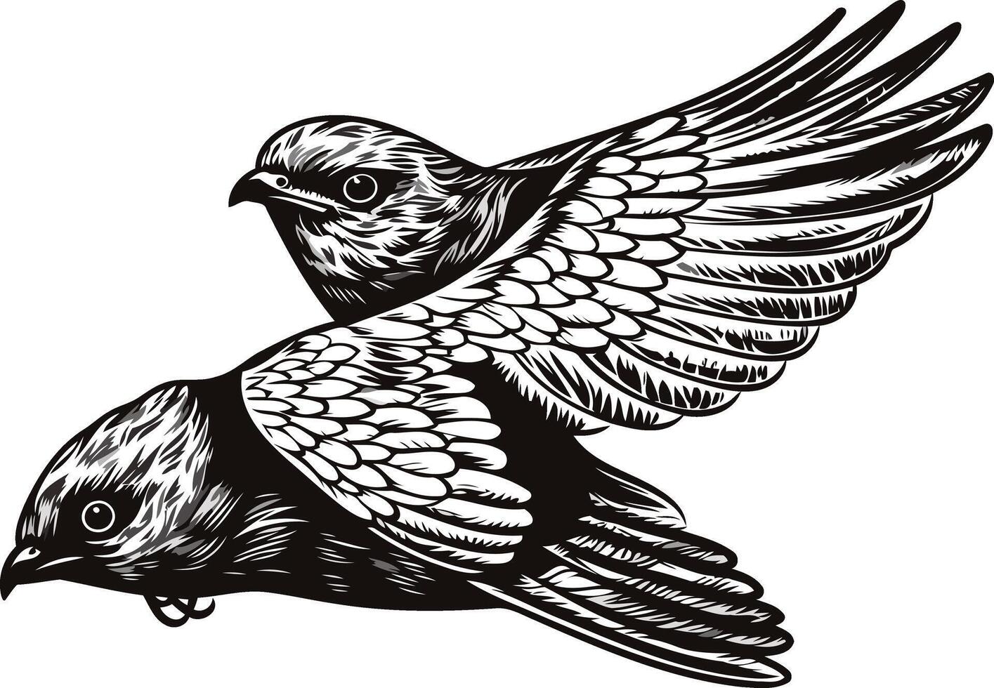Vintage Illustration of Two Birds in Flight vector