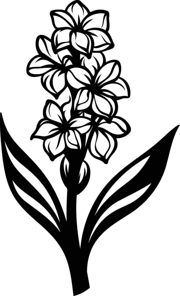 Elegant black and white illustration of a hyacinth flower vector