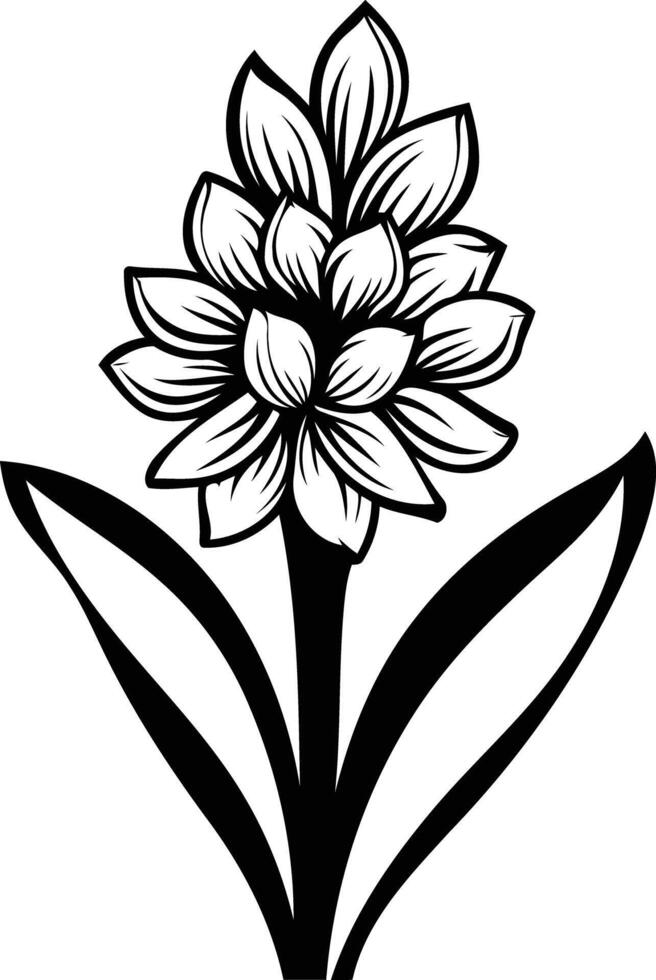 A simple yet elegant black and white illustration of a hyacinth flower vector