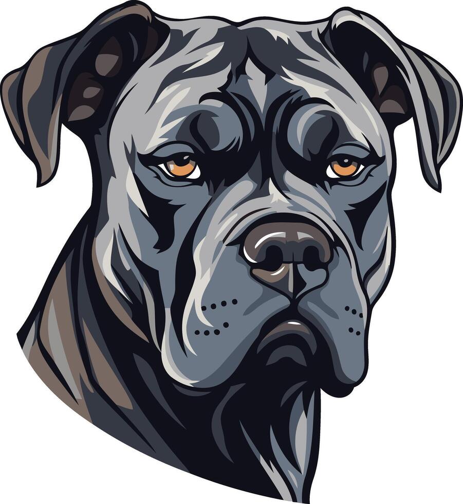 A powerful and expressive portrait of a cane corso dog, showcasing its strong features and intelligent gaze vector