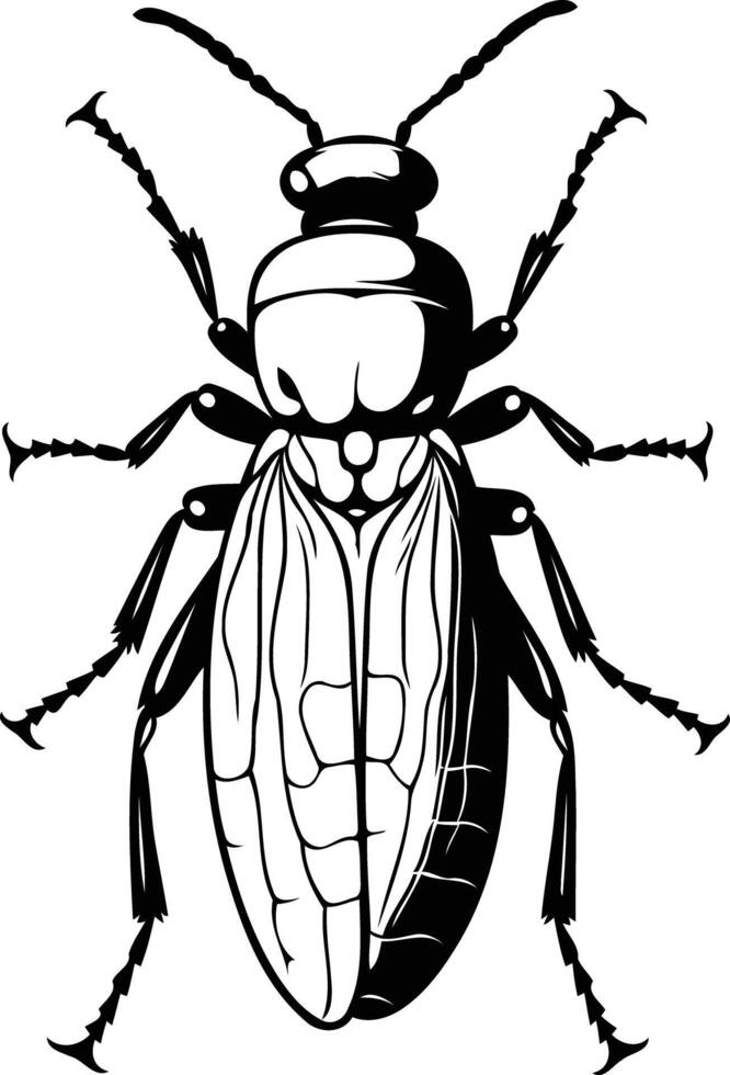 Black and white illustration of a detailed beetle with intricate wings vector