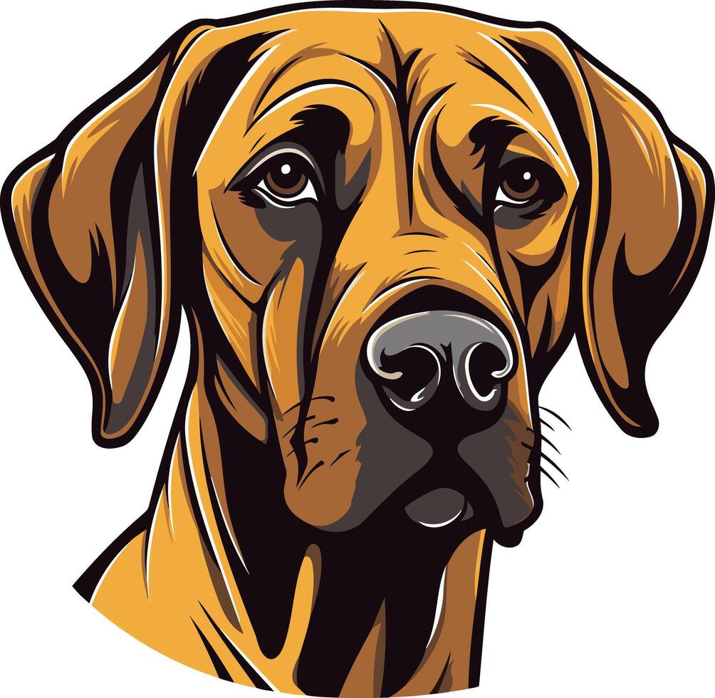 A realistic, detailed illustration of a rhodesian ridgeback dog's head vector