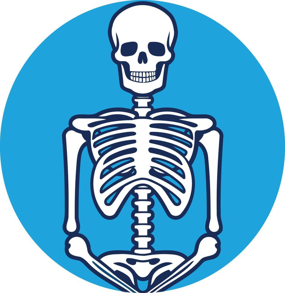 A simple, minimalist illustration of a human skeleton in a blue circle vector