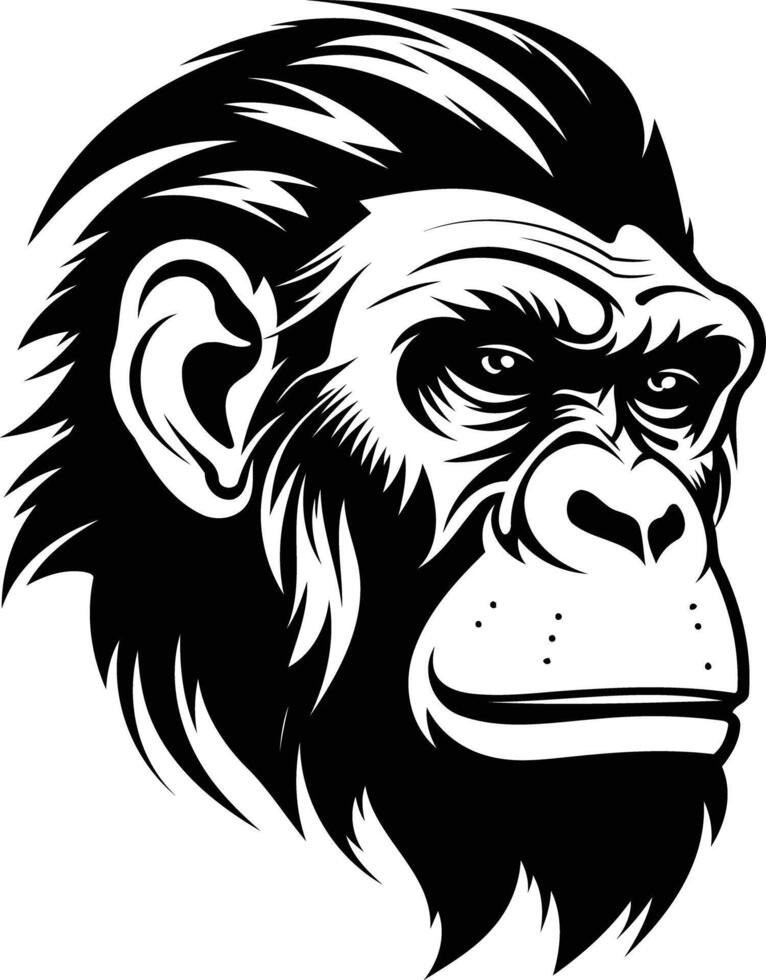A powerful black and white illustration of a chimpanzee's head, perfect for designs needing a bold and impactful animal motif vector