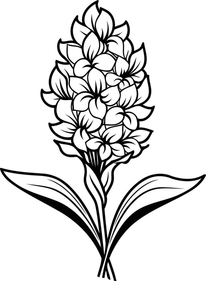 Elegant black and white illustration of a hyacinth flower vector