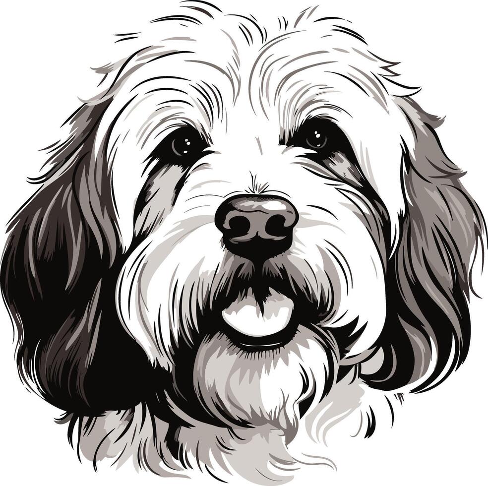 Portrait of a Fluffy Dog vector