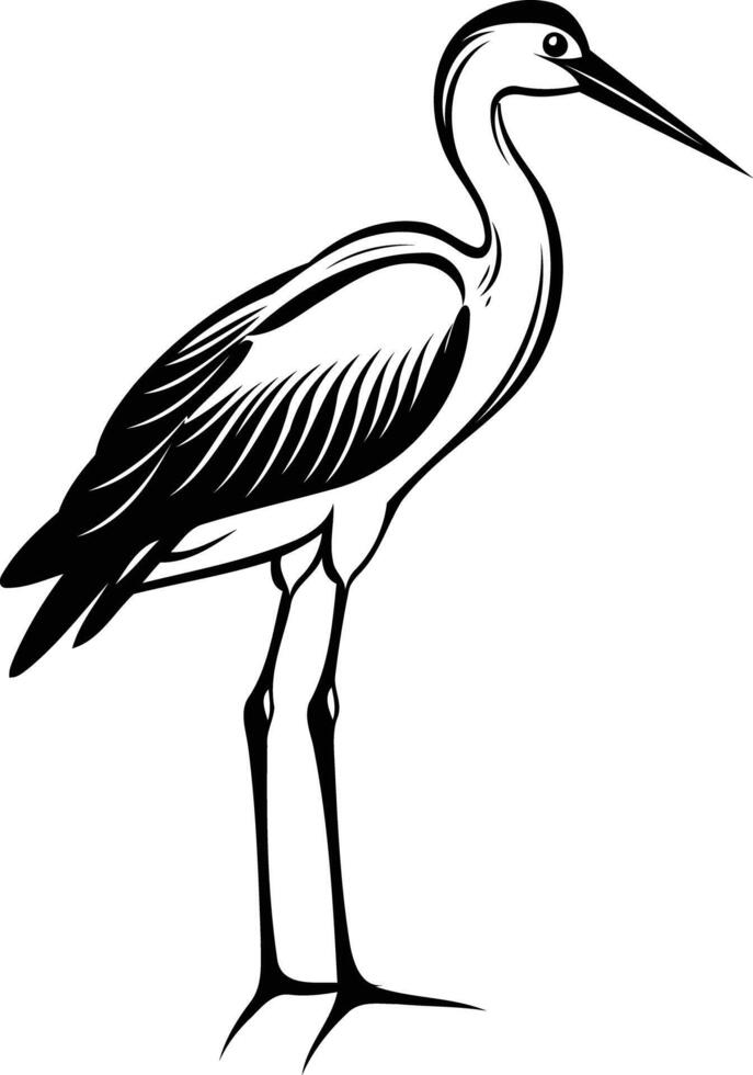 Elegant black and white illustration of a heron standing on one leg vector