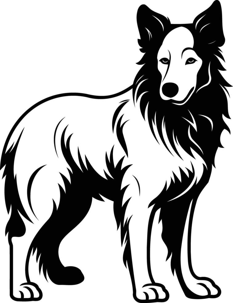 A bold black and white illustration of a border collie standing with a confident stance vector