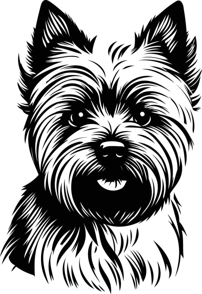 A detailed black and white illustration of a yorkshire terrier vector