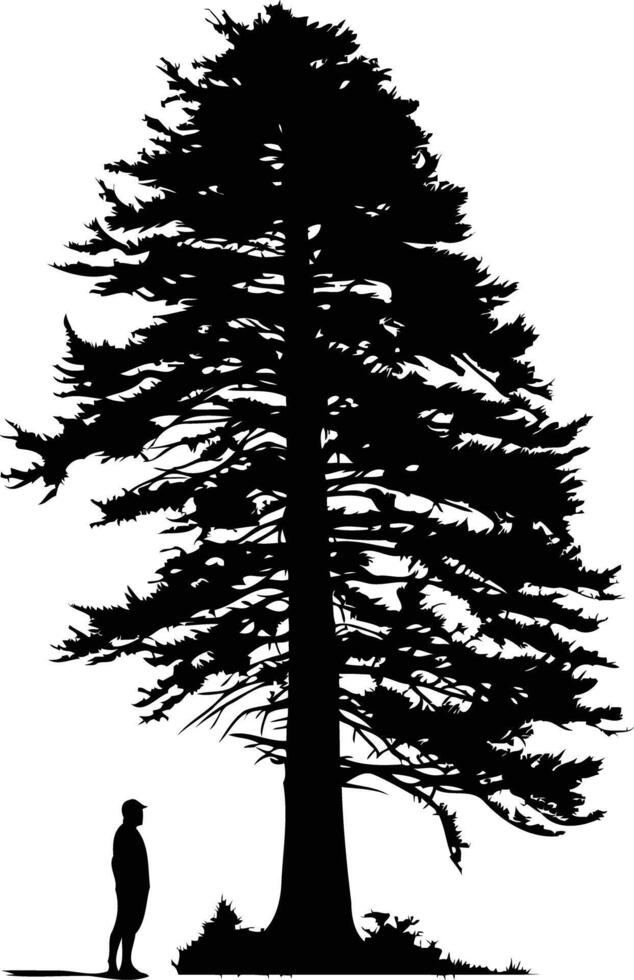 Silhouette of a large pine tree with a small person standing beneath it vector