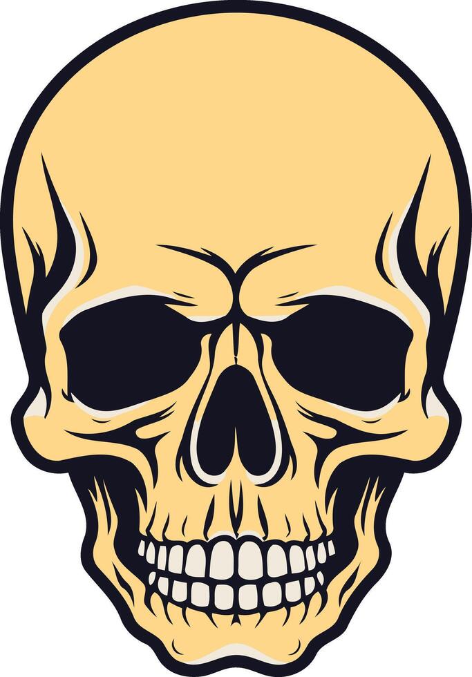A detailed illustration of a human skull in a vintage style vector