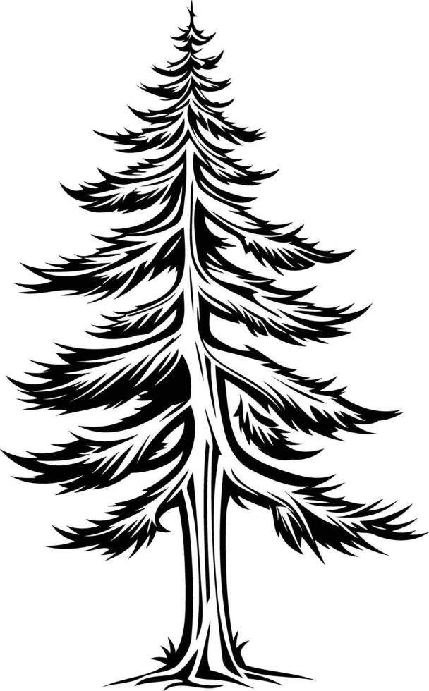 A simple yet striking black and white illustration of a pine tree, perfect for designs with a natural, minimalist aesthetic vector