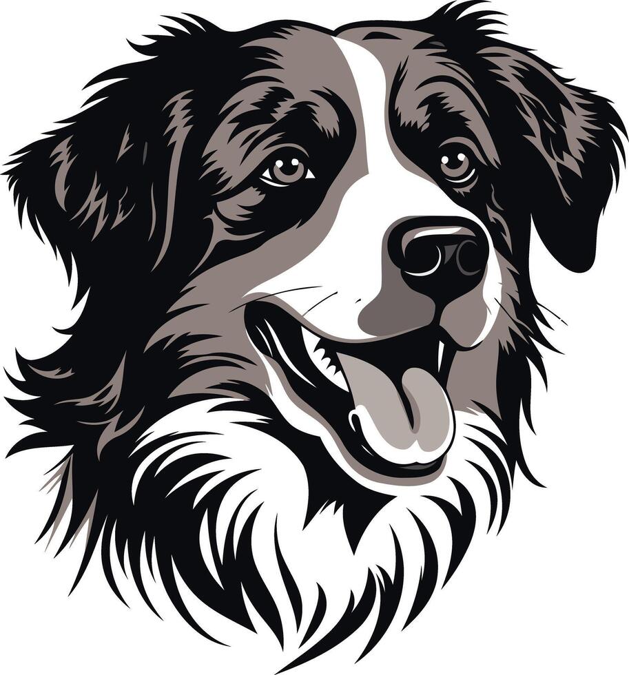 A friendly, black and white border collie with a playful grin and tongue out vector