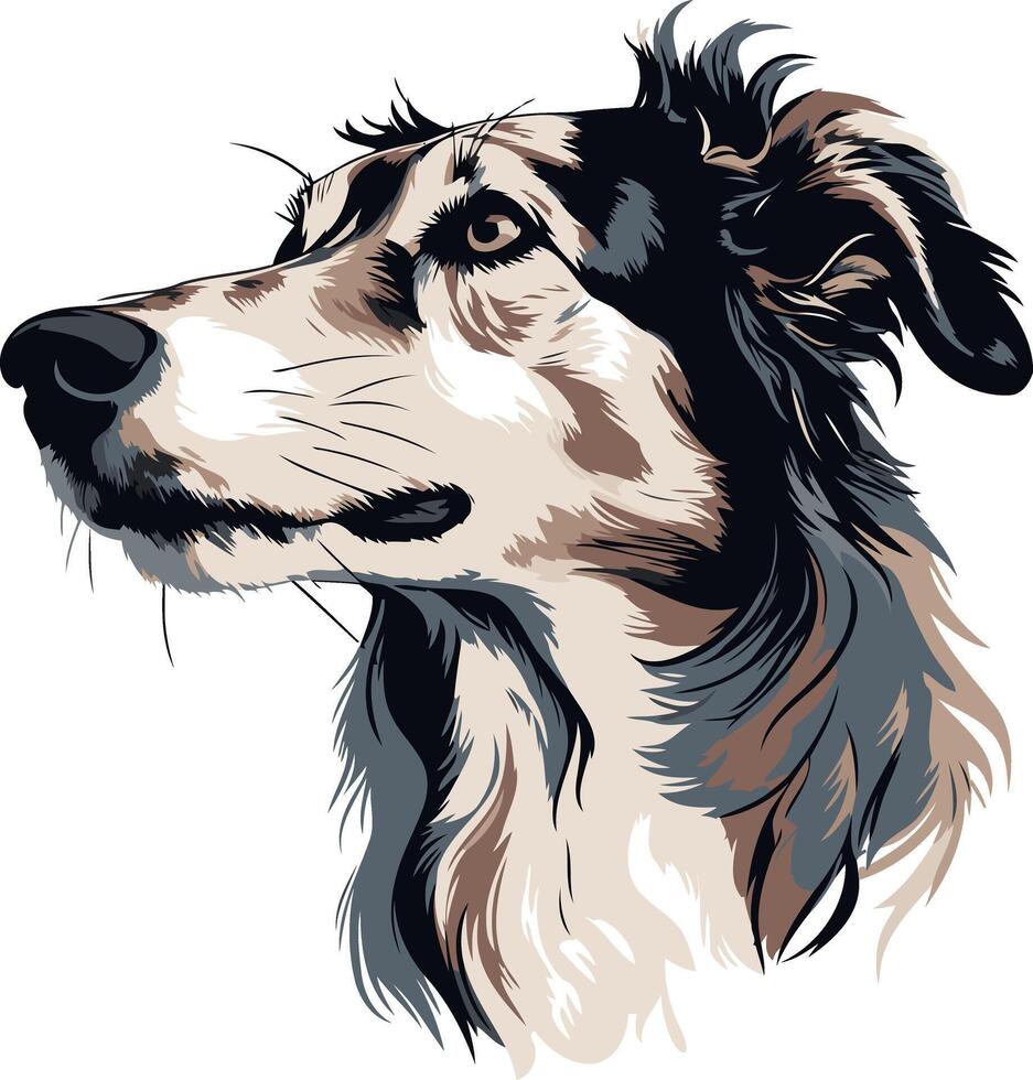 Portrait of a Border Collie vector