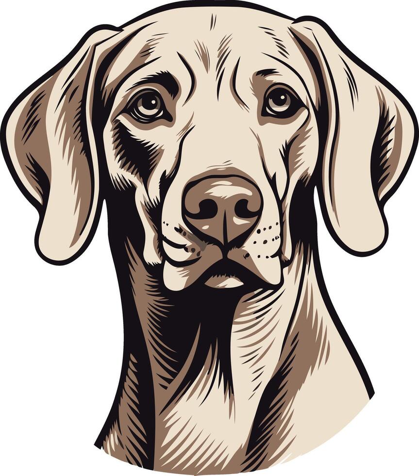 A detailed illustration of a weimaraner dog's head, perfect for pet-related designs, branding, and social media vector