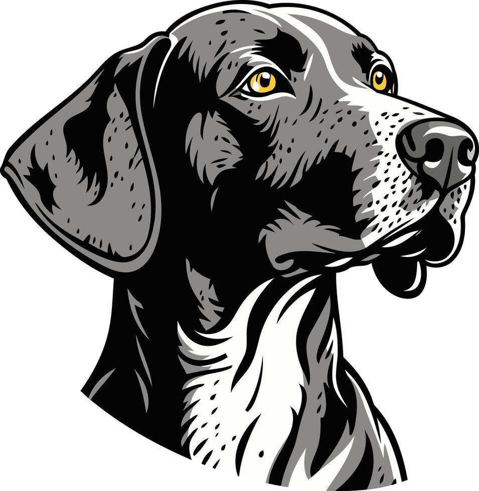 A detailed illustration of a german shorthaired pointer dog, perfect for pet related designs, logos, and branding vector