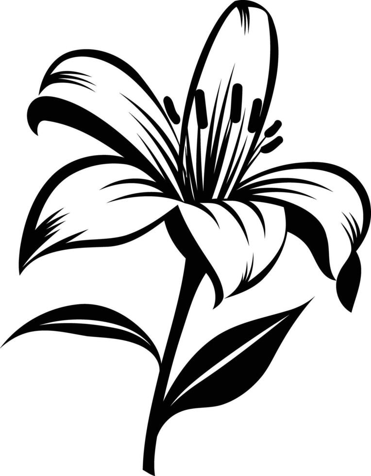 Elegant black and white illustration of a lily flower vector