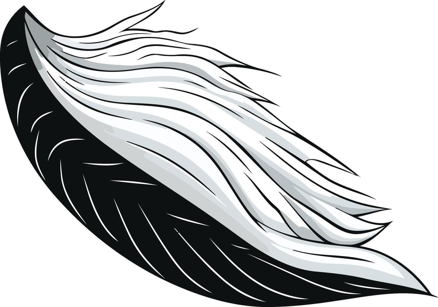 Half a Coconut with White Husk vector