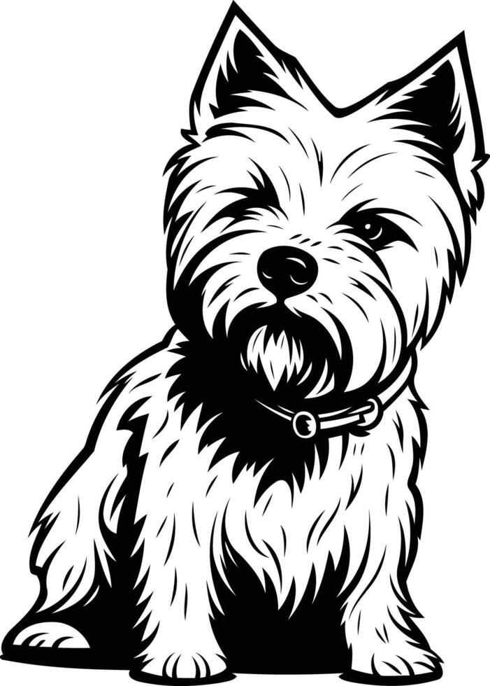A striking black and white illustration of a west highland white terrier, showcasing the breed's distinctive fluffy coat and endearing expression vector