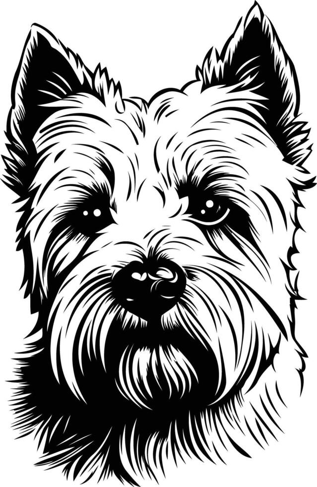 A detailed black and white illustration of a west highland white terrier's head, perfect for pet-related designs, branding, or as a graphic element vector