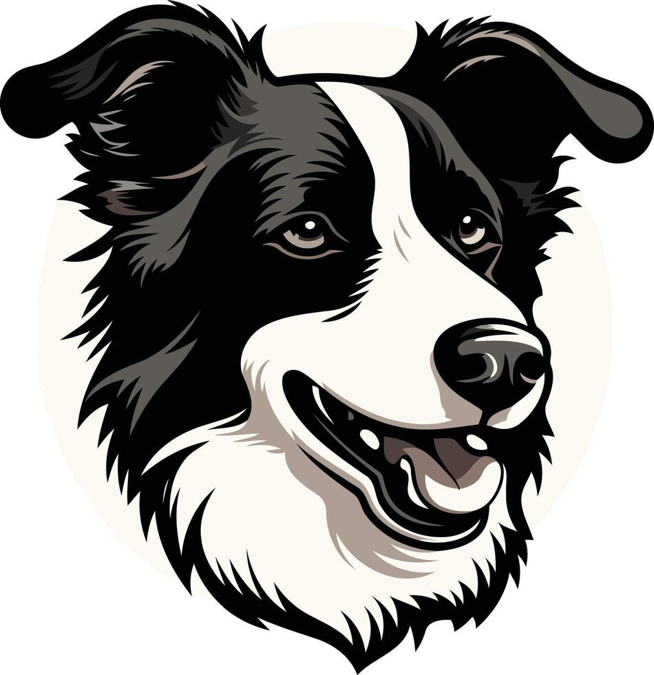 A friendly and playful border collie portrait, perfect for dog lover designs, pet products, and branding vector