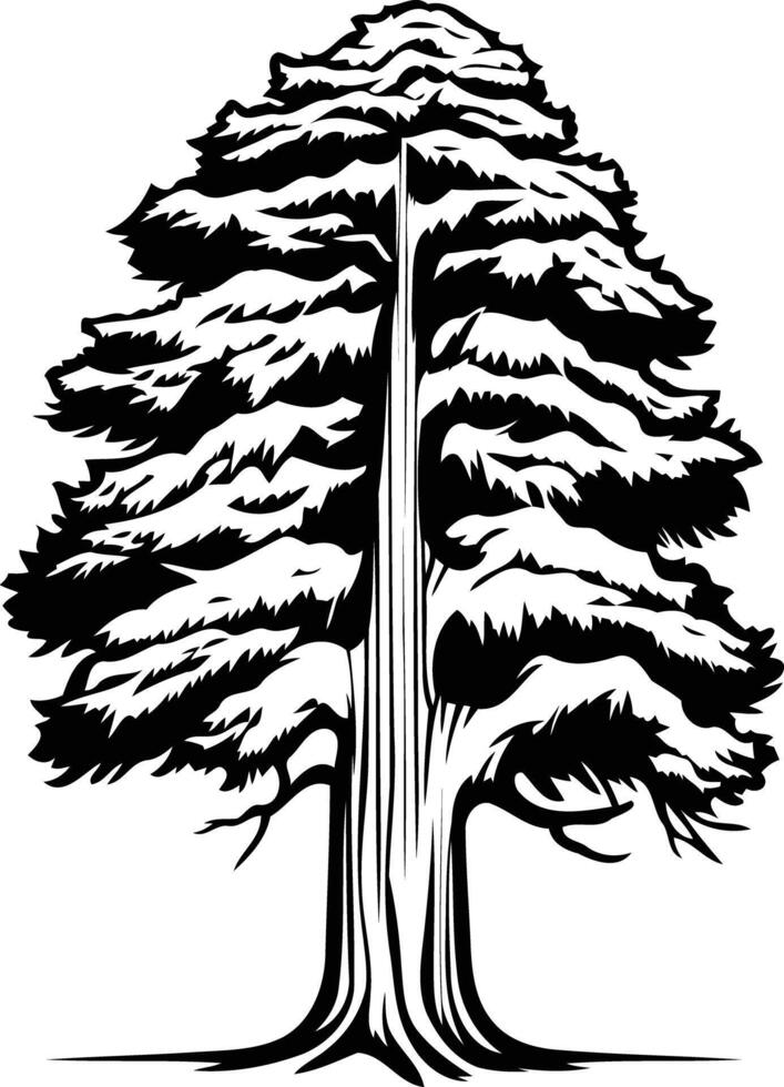 Simple, elegant silhouette of a tall evergreen tree, perfect for nature-themed designs vector