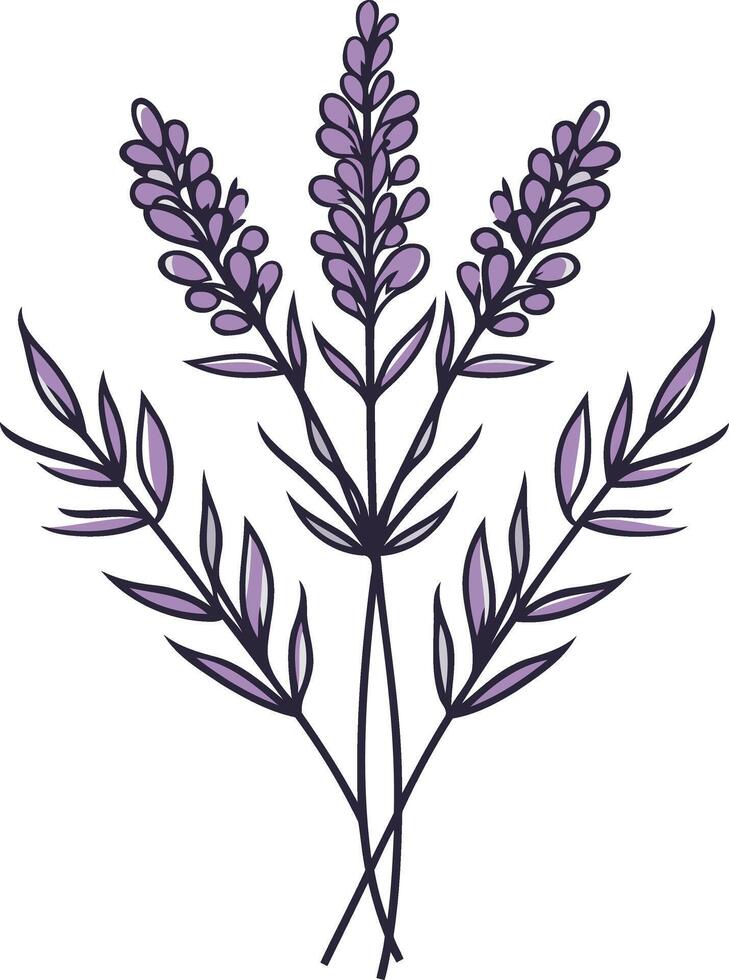 Lavender Bouquet Illustration vector
