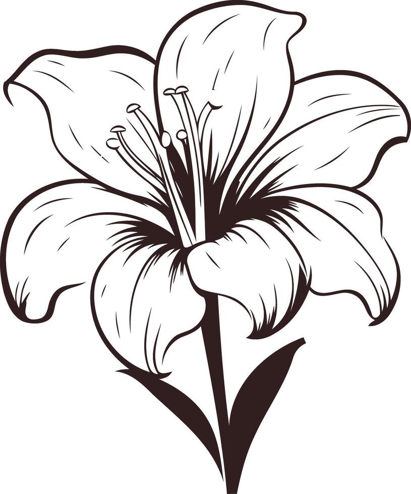 Elegant line art illustration of a lily flower, perfect for wedding invitations, floral designs, or adding a touch of nature to your projects vector